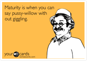 someecards.com - Maturity is when you can say pussy-willow with out giggling.