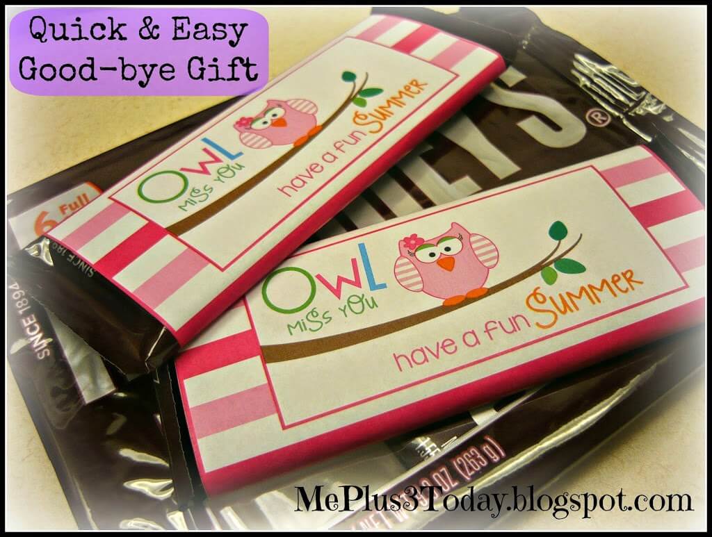 Quick, Easy, & Inexpensive good-bye gift for teachers (daycare) or students! Includes link to FREE printable! Owl miss you, have a fun summer! MePlus3Today.blogspot.com