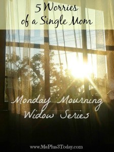 Monday Mourning Widow Series: 5 Worries of a Single Mom - www.MePlus3Today.com - What might be keeping single mothers awake at night as they worry about their children.