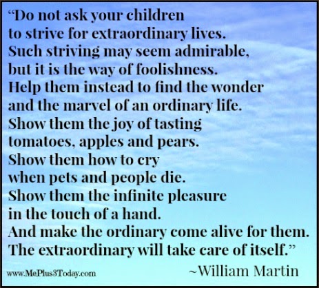 “Do not ask your children to strive for extraordinary lives... And make the ordinary life coma alive for them." ~ William Martin quote - www.MePlus3Today.com - Monday Mourning Widow Series: The "In Between"