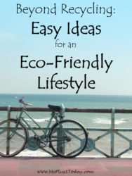 Beyond Recycling: Easy Ideas for an Eco-Friendly Lifestyle - Unique ideas to Celebrate Earth Day Every Day