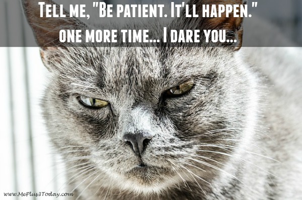 Tell me "Be Patient. It'll happen." One more time... I dare you... Annoyed cat face meme - Infertility humor - www.MePlus3Today.com
