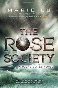 the-rose-society-marie-lu